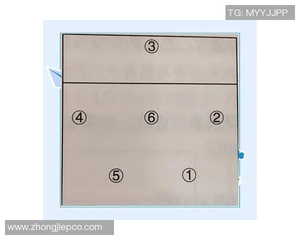 杭州排球队在锦标赛中的节奏表现分析与战术探讨